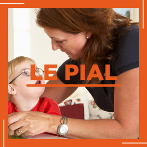 Le Pial Ne Pas En Faire Une Fausse Bonne Idee Sgen Cfdt Lorraine