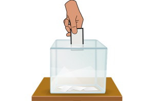 vote