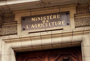 Comité technique ministériel (agriculture) du 5 novembre 2020: déclaration liminaire CFDT
