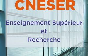 cneser dialogue social