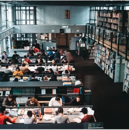 bibliothèques universitaires