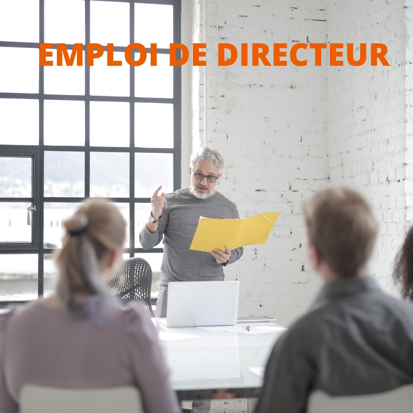 EMPLOI DIRECTEUR