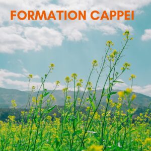 FORMATION CAPPEI