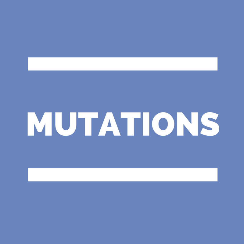 Groupe de travail bilan du mouvement