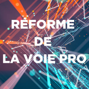 Reforme de la voie pro