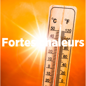 Fortes chaleurs