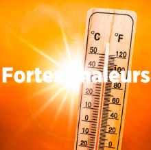 Fortes chaleurs