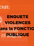 enquête Vécu et Ressenti en matière de Sécurité