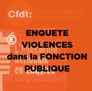enquête Vécu et Ressenti en matière de Sécurité