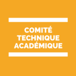 COMITÉ TECHNIQUE MINISTERIEL