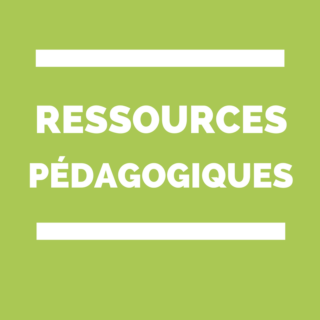 Ressources pédagogiques, logiciels, applications en ligne ou pour tablettes