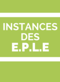 Instances des EPLE collège Lycée