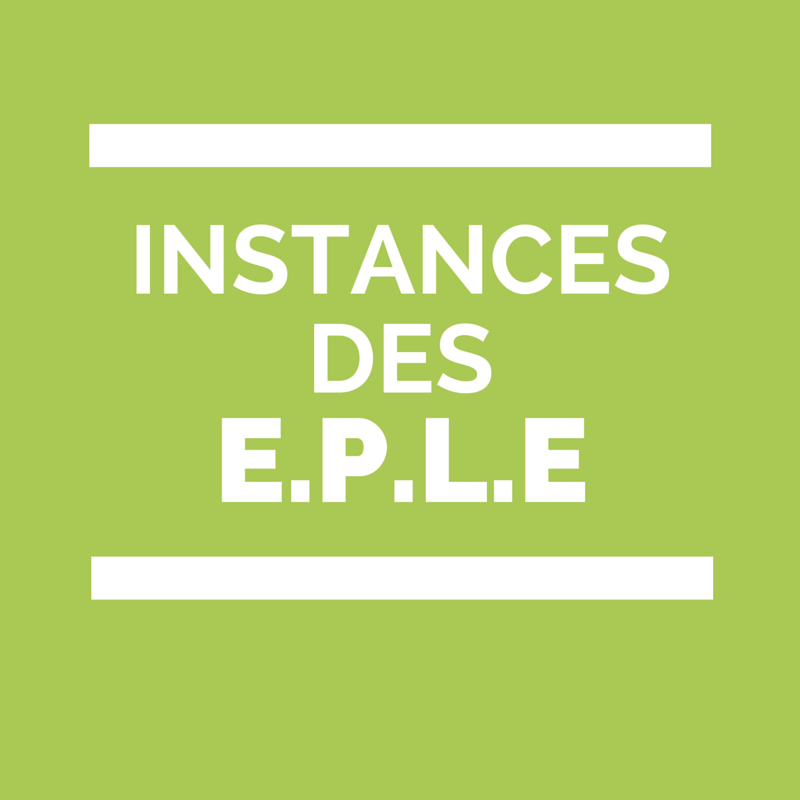 Instances des EPLE collège Lycée
