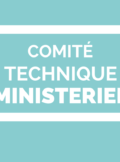 Comité Technique Ministériel CTM