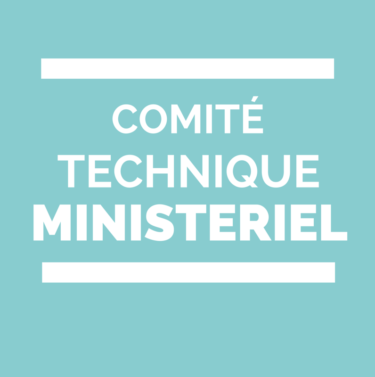 Comité Technique Ministériel CTM