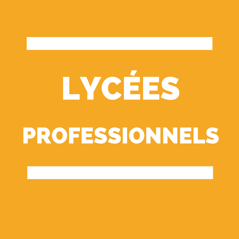 Lycées professionnels - enseignement professionnel