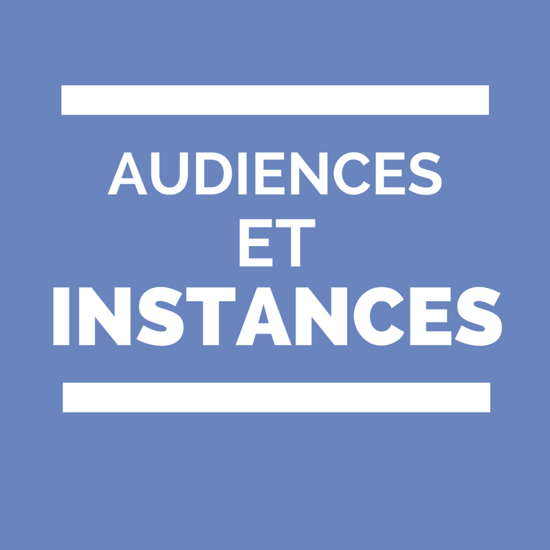 Audiences et instances
