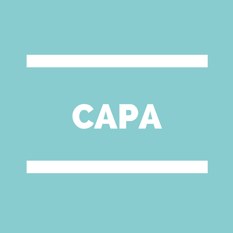 CAPA Commission administrative Paritaire académique