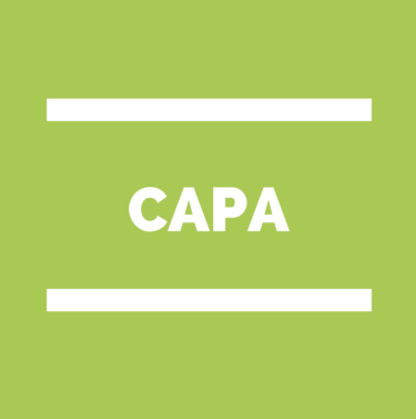 CAPA Commission administrative Paritaire académique