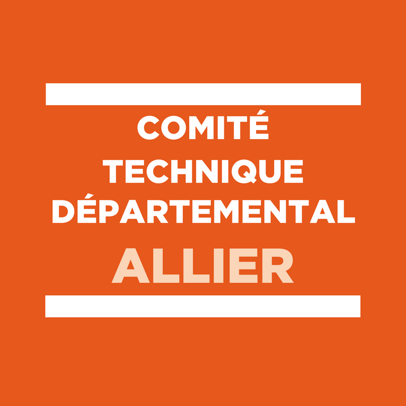 Comité technique départemental de l'Allier