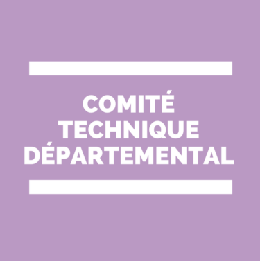 Comité technique départemental