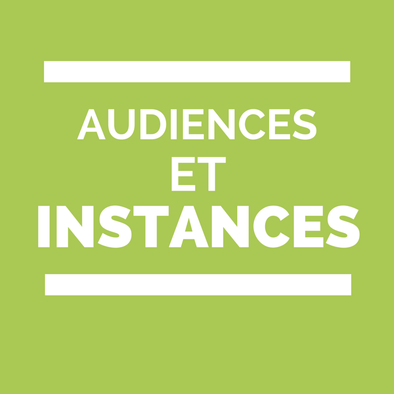 Conseils et instances