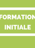 formation intiale