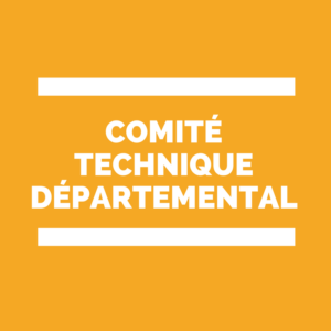 CTSD Comité Technique Spécial Départemental -carte scolaire 2017