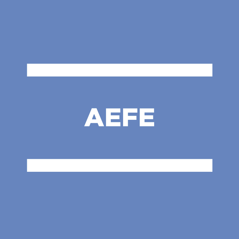 AEFE revendications CFDT