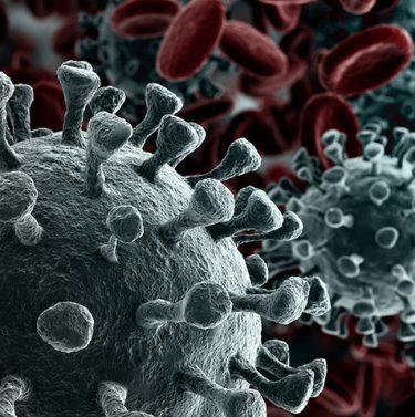 Coronavirus Covid-19 AEFE