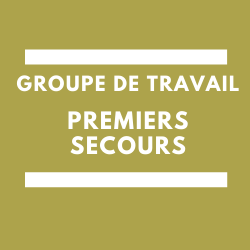 formation premiers secours AEFe