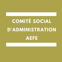 comité social d'administration AEFE