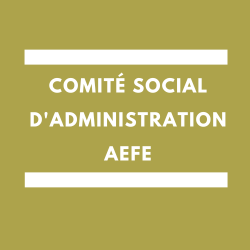 Conseil-Social-dAdministration-AEFE