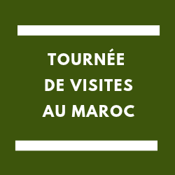 tournée visites maroc