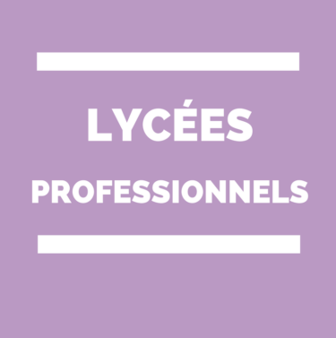 reforme lycées professionnels