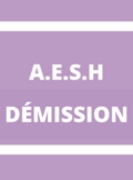 démission des AESH