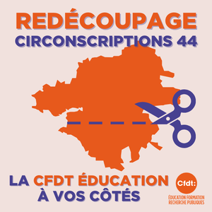 Redécoupage circonscriptions 44