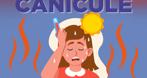 dossier canicule