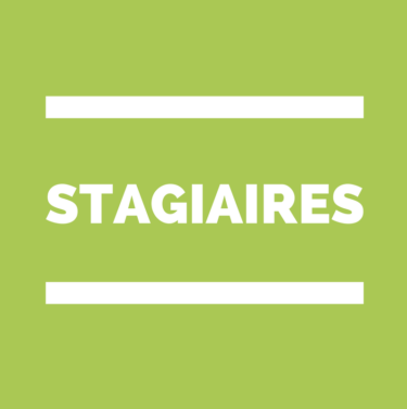 stagiaire