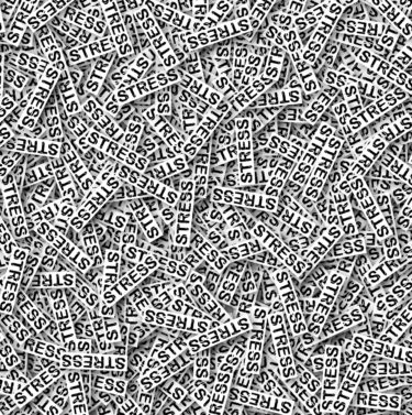 agrégé par liste d'aptitude