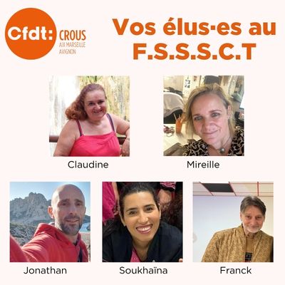 Les différentes instances du CROUS : La F.S.S.S.C.T