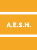 formation AESH