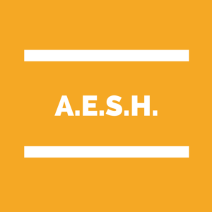 formation AESH