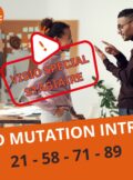 information mutation stagiaire