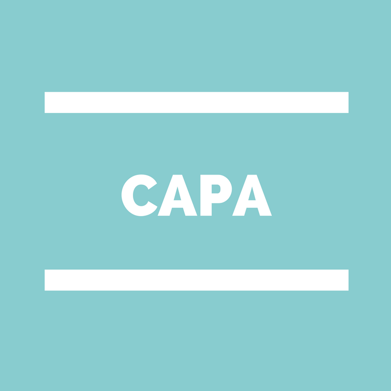 Commission administrative Paritaire académique CAPA