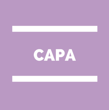 CAPA Commission administrative paritaire académique