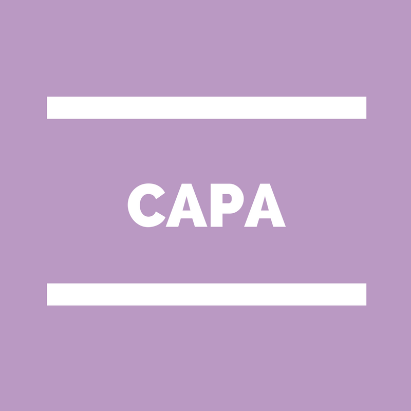 CAPA Commission administrative paritaire académique