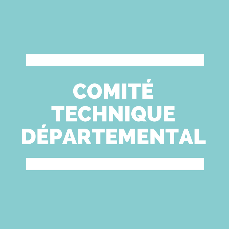 CTSD Comité Technique départemental