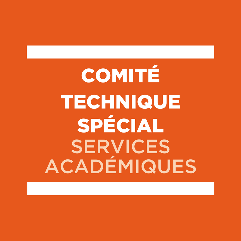 Comité Technique Spécial - CTS